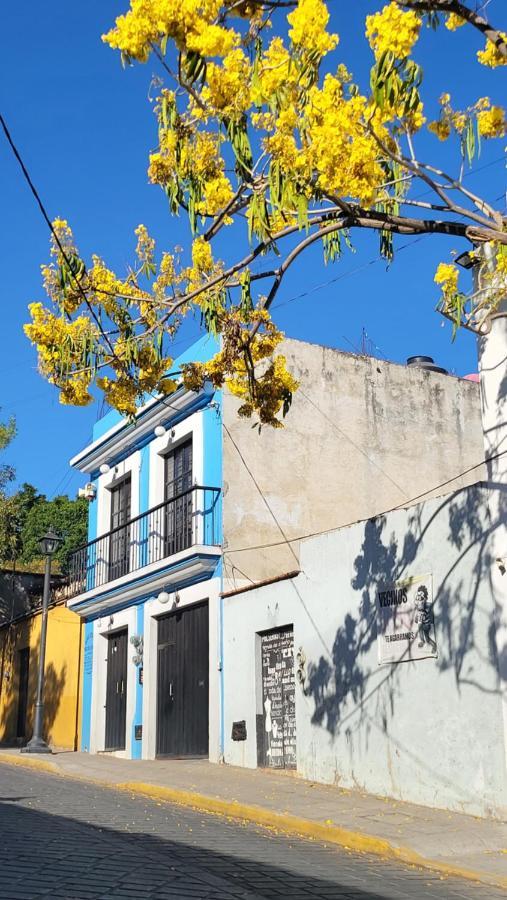 דירות Departamentos Oaxaca Bonito מראה חיצוני תמונה