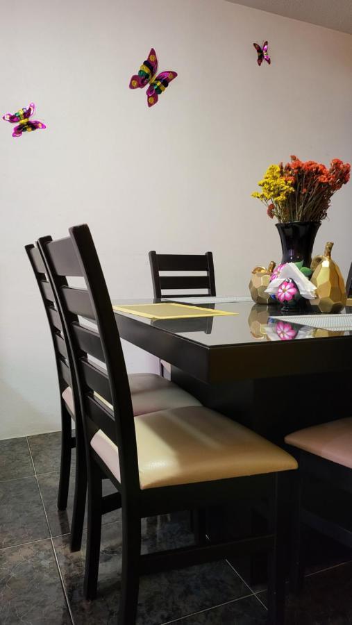 דירות Departamentos Oaxaca Bonito מראה חיצוני תמונה