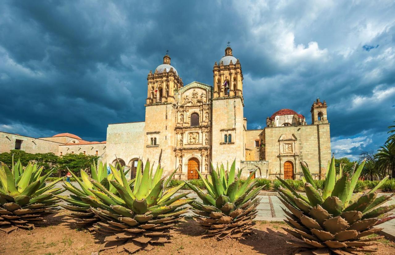דירות Departamentos Oaxaca Bonito מראה חיצוני תמונה
